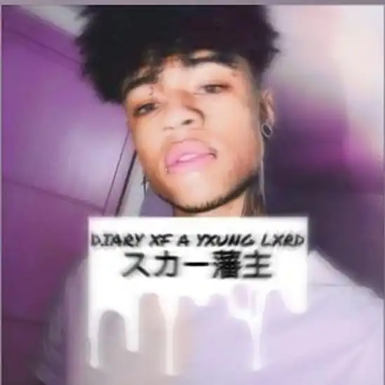 Capa do Álbum diary xf lxrd